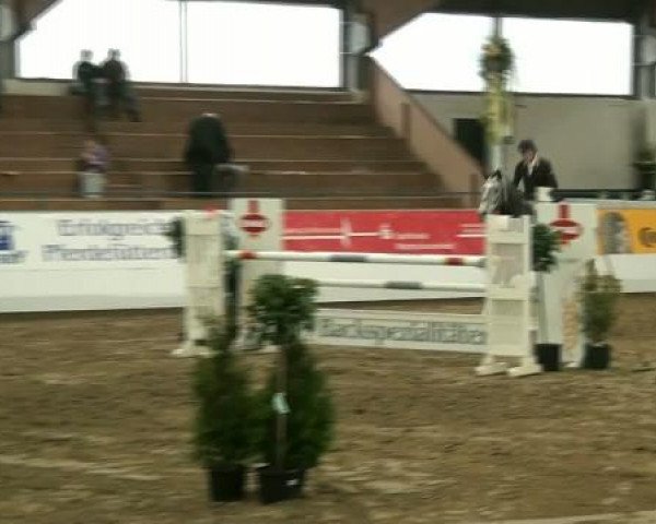 Hallenspringturnier Borken 2012