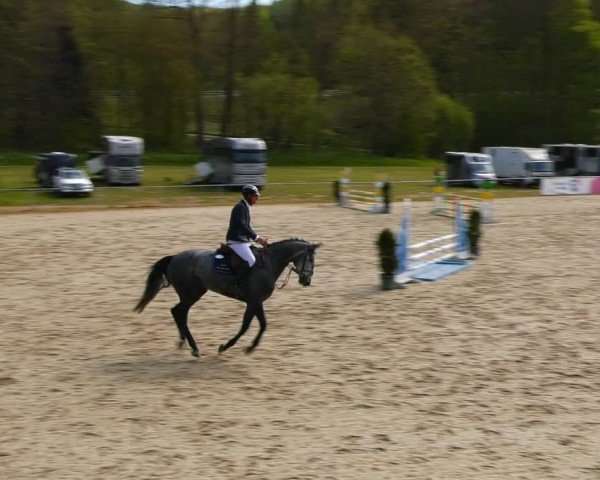 Reitturnier Bad Liebenstein/Sorga 2024
