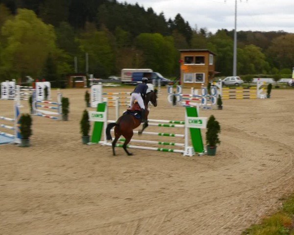Reitturnier Bad Liebenstein/Sorga 2024