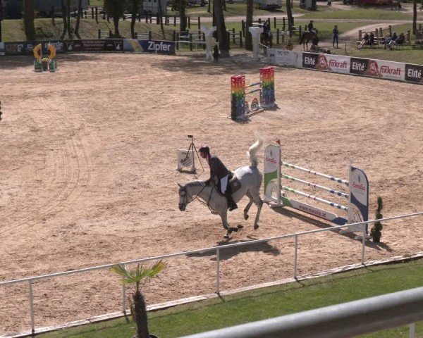 FEI Springturnier Stadl Paura 2024