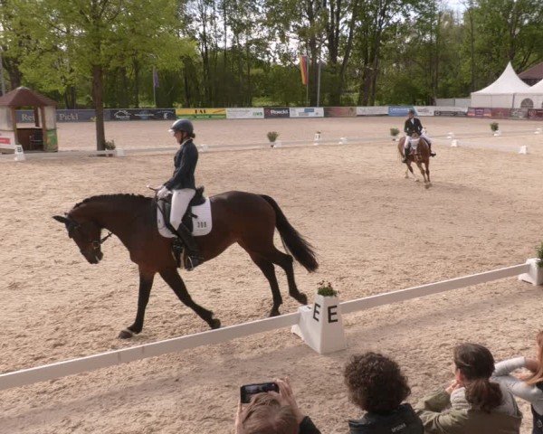 Reitturnier Karlsfeld/Obb. 2024