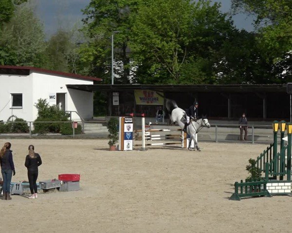 Reitturnier Ingolstadt-Hagau/Obb. 2024