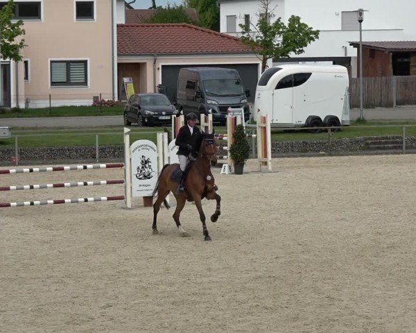 Reitturnier Ingolstadt-Hagau/Obb. 2024