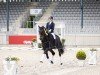 dressage horse Weissenia T (Oldenburg, 2017, from Fürsten-Look)