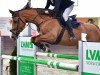 jumper Galina H (Bavarian, 2008, from Epsom Gesmeray)