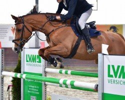 jumper Galina H (Bavarian, 2008, from Epsom Gesmeray)