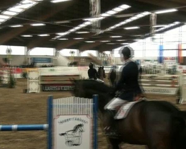 Hallenspringturnier Borken 2012