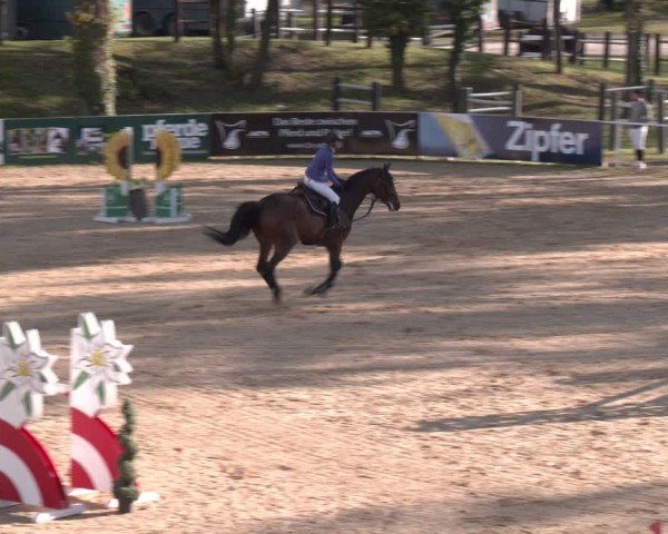 FEI Springturnier Stadl Paura 2024