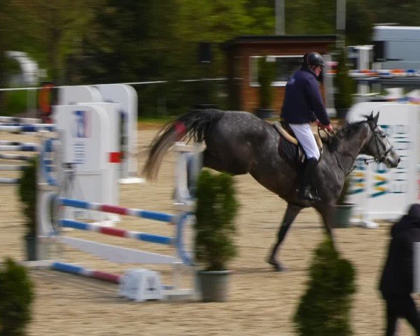 Reitturnier Bad Liebenstein/Sorga 2024