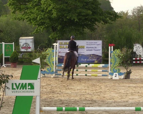Reitturnier Nienberge 2024