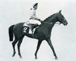 stallion Babilon xx (Thoroughbred, 1968, from Exbury xx)