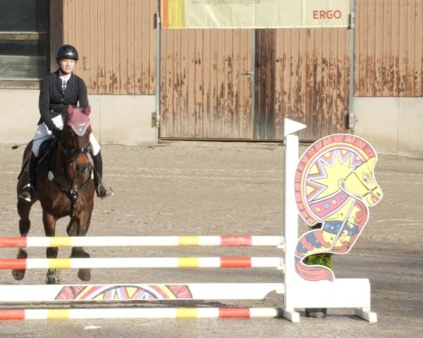 Reitturnier Großostheim/Ufr. 2024
