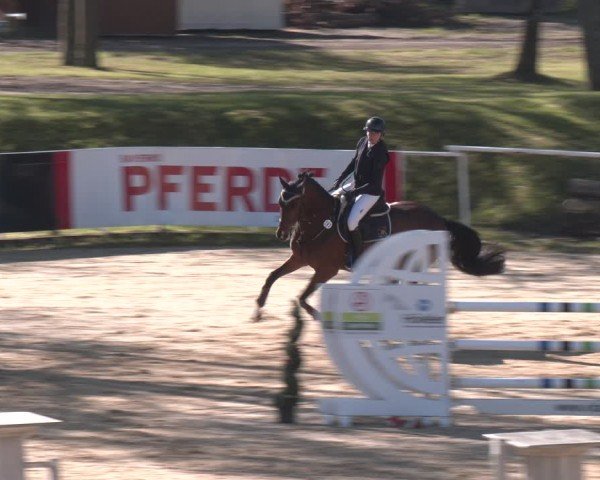 FEI Springturnier Stadl Paura 2024