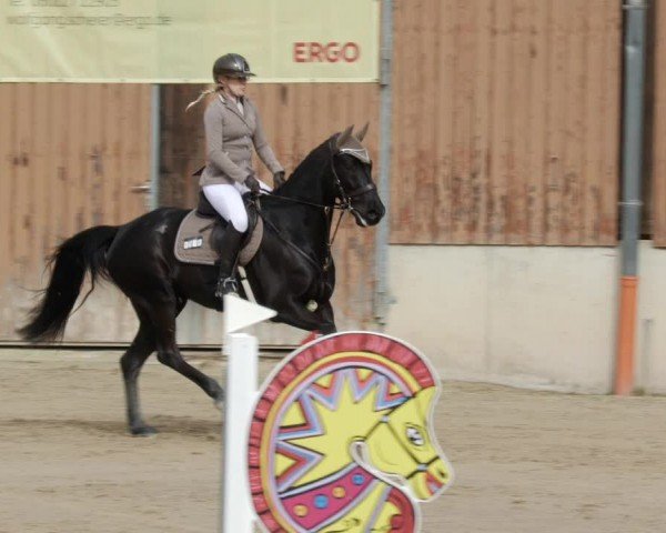 Reitturnier Großostheim/Ufr. 2024