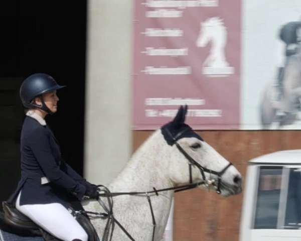 Reitturnier Großostheim/Ufr. 2024