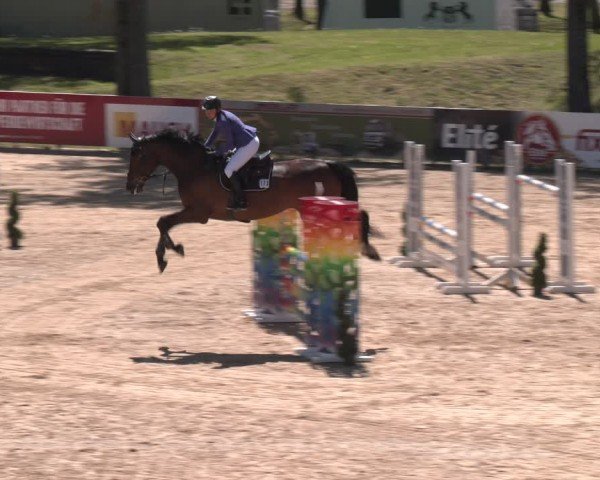 FEI Springturnier Stadl Paura 2024