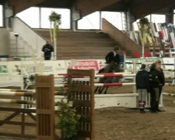 Hallenspringturnier Borken 2012