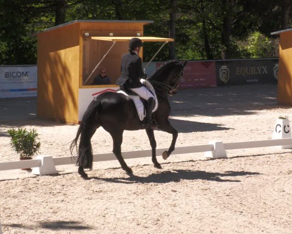 Reitturnier Karlsfeld/Obb. 2024