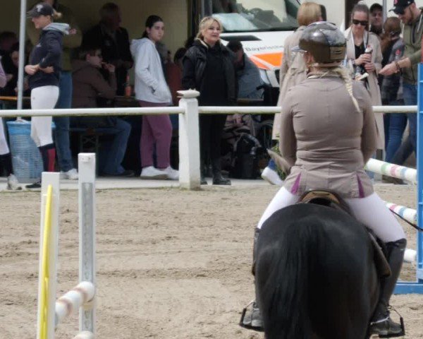 Reitturnier Großostheim/Ufr. 2024
