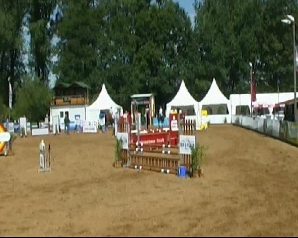HORSE classics Killingen 2011