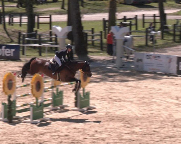 FEI Springturnier Stadl Paura 2024