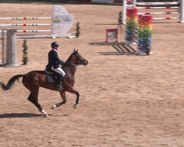 FEI Springturnier Stadl Paura 2024