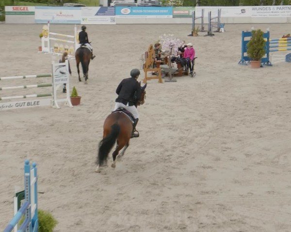 Reitturnier Monheim - Gut Blee 2024