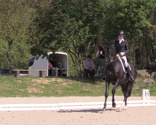 Reitturnier Pietzpuhl 2024