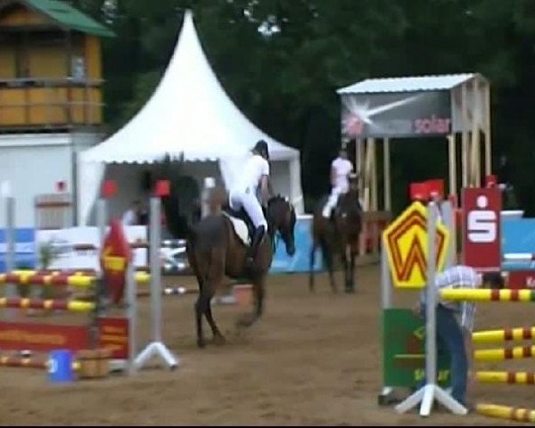 HORSE classics Killingen 2011