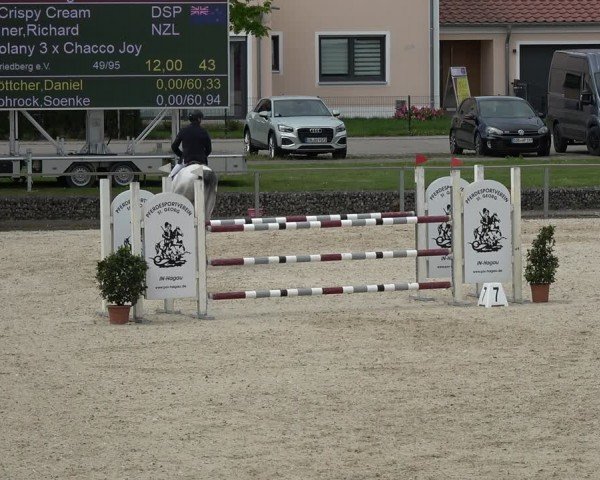 Reitturnier Ingolstadt-Hagau/Obb. 2024