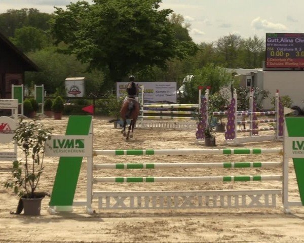 Reitturnier Nienberge 2024