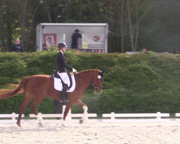 Reitturnier Pietzpuhl 2024