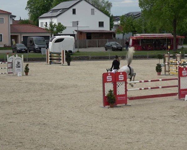 Reitturnier Ingolstadt-Hagau/Obb. 2024