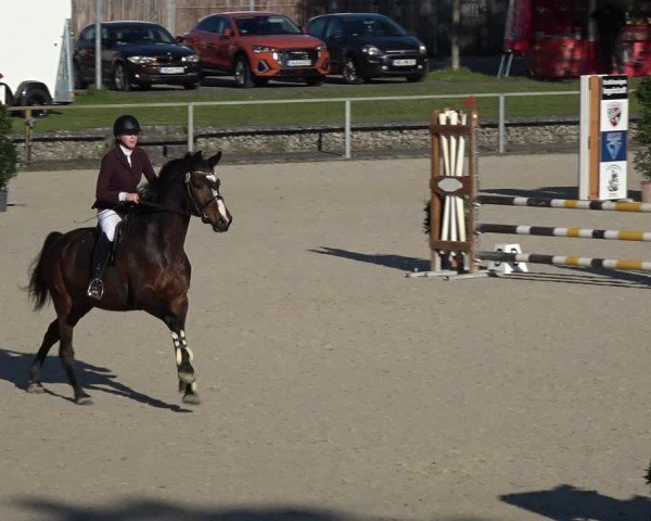 Reitturnier Ingolstadt-Hagau/Obb. 2024