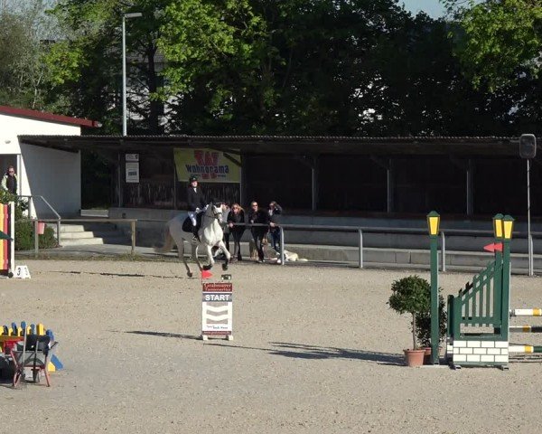 Reitturnier Ingolstadt-Hagau/Obb. 2024
