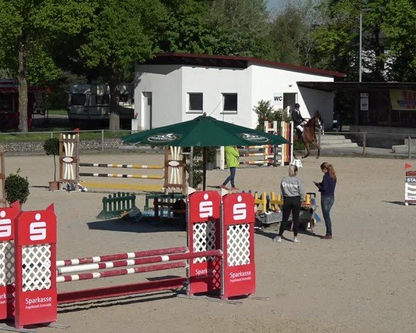 Reitturnier Ingolstadt-Hagau/Obb. 2024