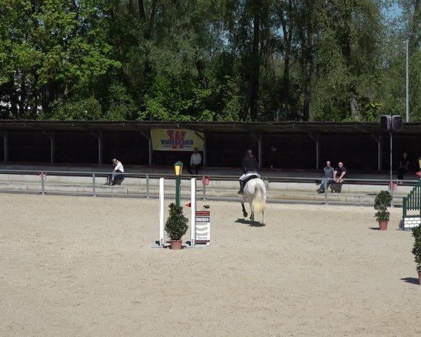 Reitturnier Ingolstadt-Hagau/Obb. 2024