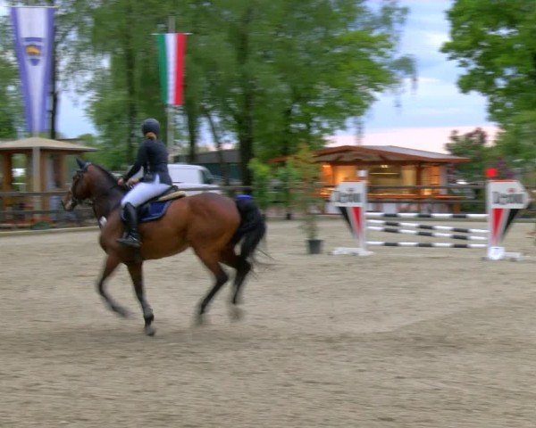 Reitturnier Heiden 2024