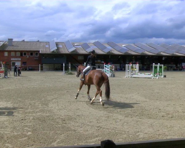 Reitturnier Heiden 2024