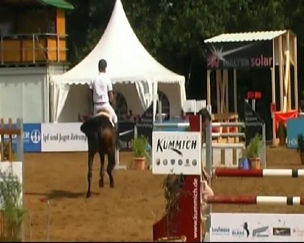 HORSE classics Killingen 2011
