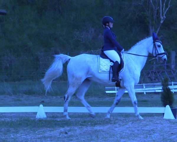 Reitturnier Colbitz 2024