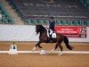 dressage horse Ray Charles 10 (Rhinelander, 2014, from Rohjuwel OLD)