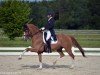 dressage horse Dwayn (Hanoverian, 2012, from Diamond Hit)