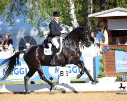 Zuchtstute Toscana OLD (Oldenburger, 2010, von Blue Hors Bentley)