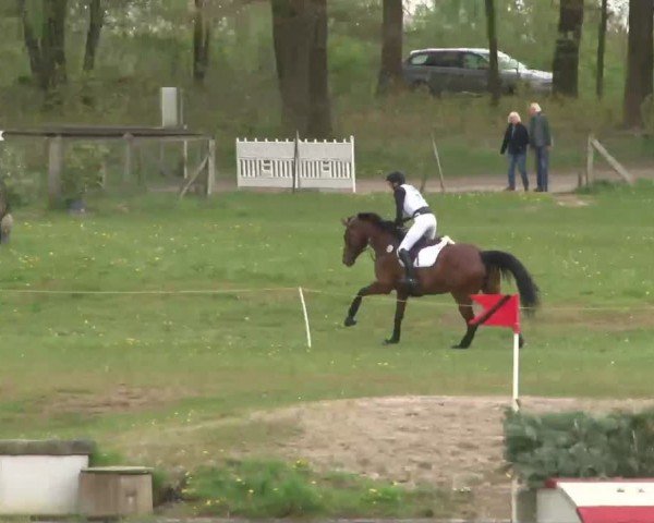 CCI2* Luhmühlen 2024