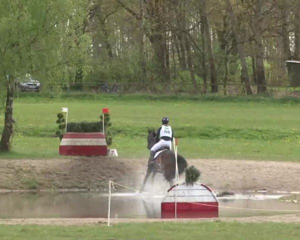 CCI2* Luhmühlen 2024