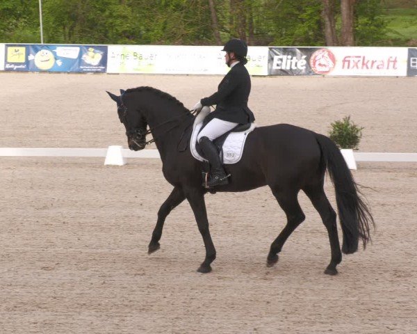 Reitturnier Karlsfeld/Obb. 2024