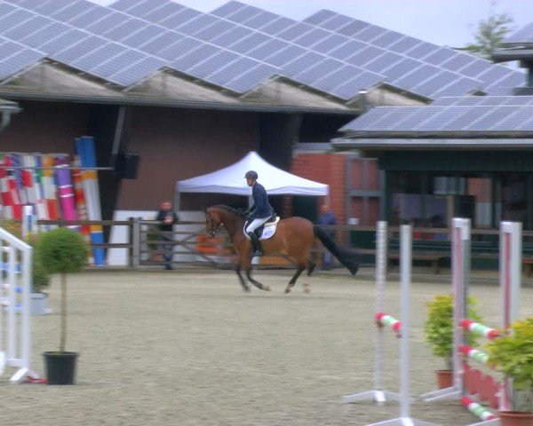 Reitturnier Heiden 2024