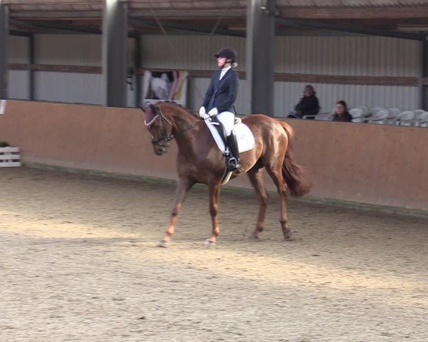 Reitturnier Schlieckau 2024