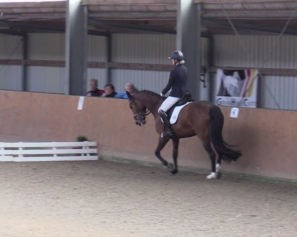 Reitturnier Schlieckau 2024